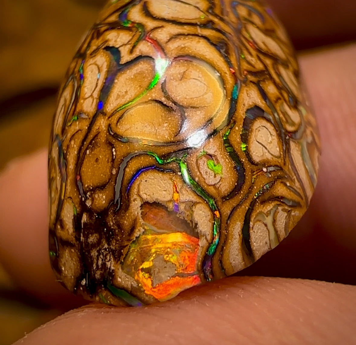 28.5cts - “Celebrity Stone” Top Tan Tribal Yowah Nut Opal. Featured on “Outback Opal Hunters”!