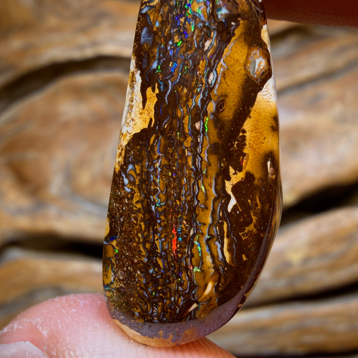 26.3cts - Tribal Queensland Boulder Opal from Yowah