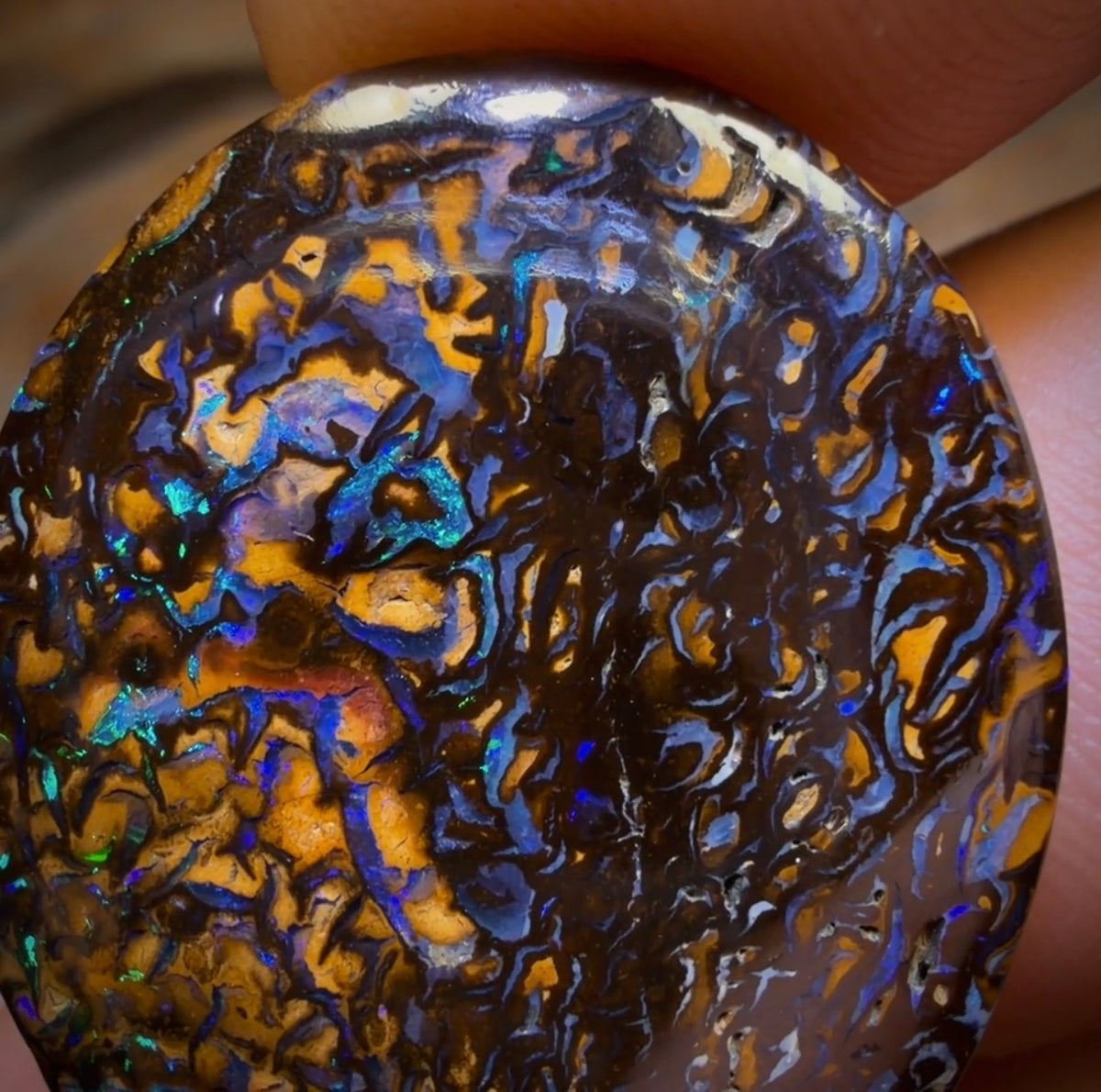 30.9cts - Tribal Yowah Nut Opal. Australian Opal