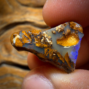 🔨 AUCTION 🔨 24.2cts - Boulder Pipe Opal Rough Piece. Australian Opal