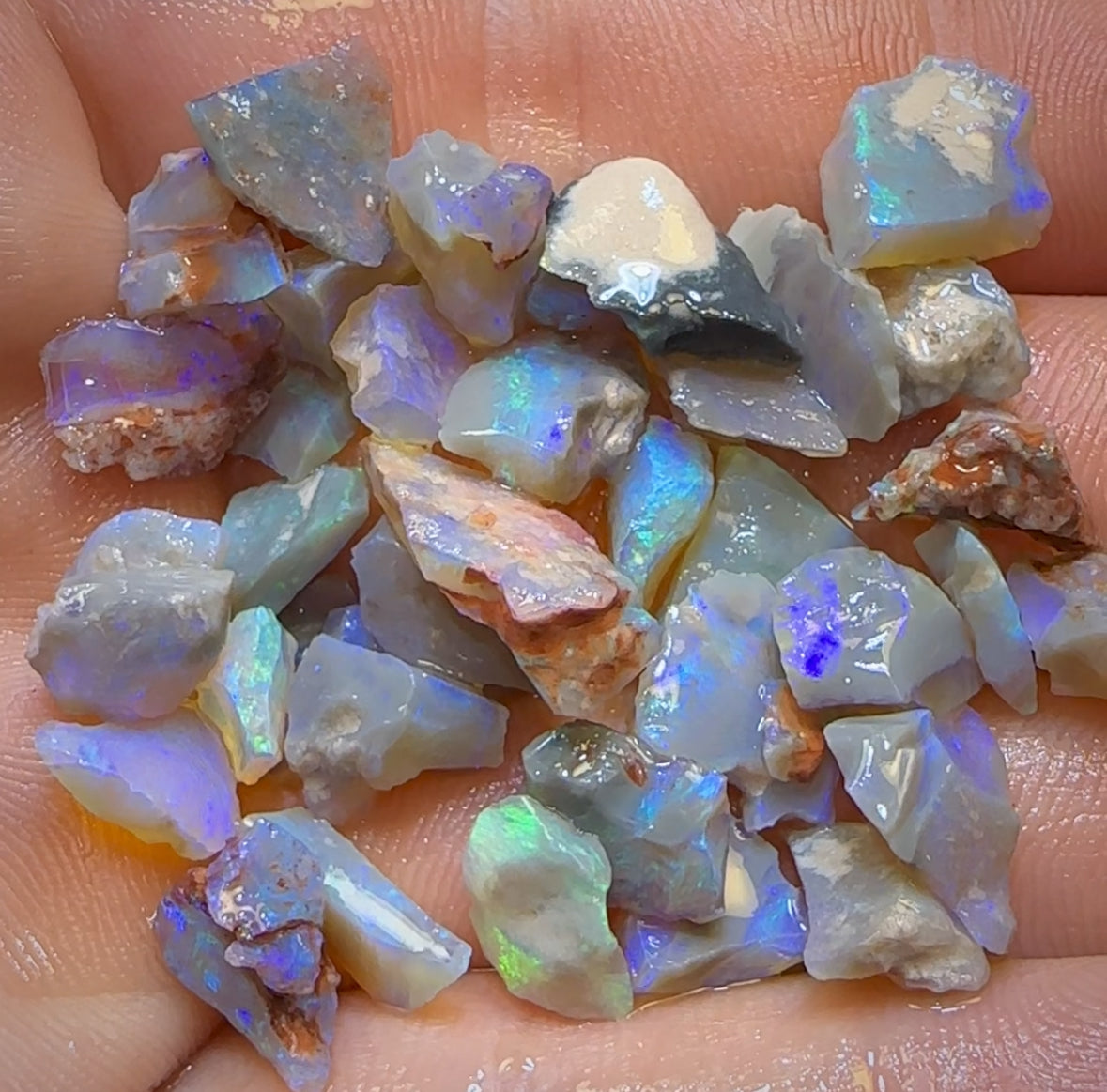 Auction Fall-Through = Your Gain! 🔥 Now More Than 50% Off RRP 🚨 58.5cts - 42x Lightning Ridge Opal Rough Parcel
