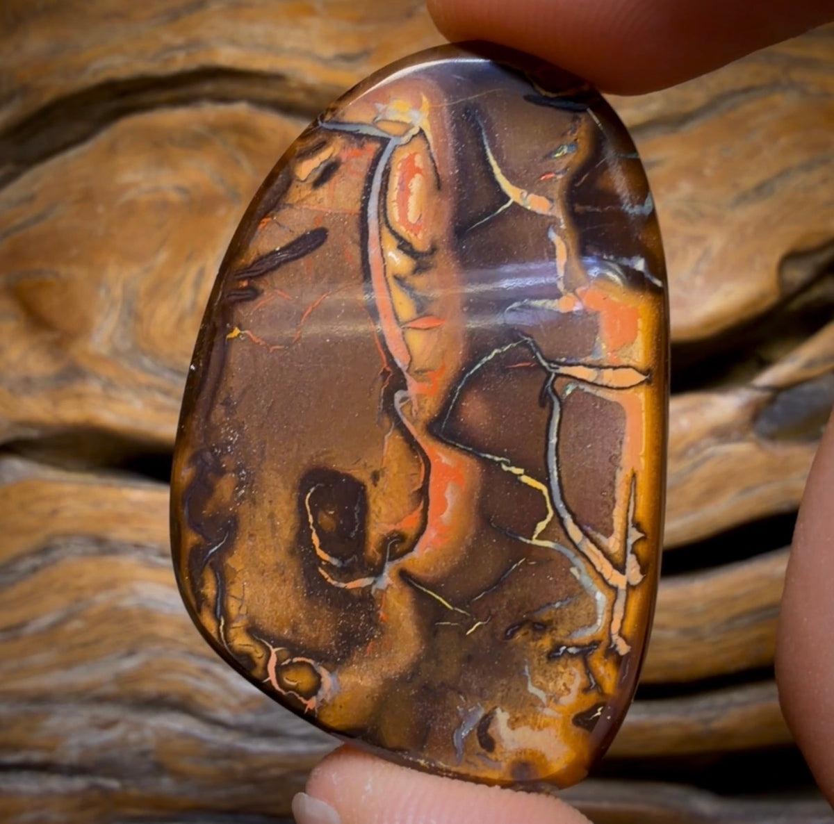 48-Hour VIP Crazy Offer 123.1cts - Tribal Queensland Boulder from Yowah Picture Stone