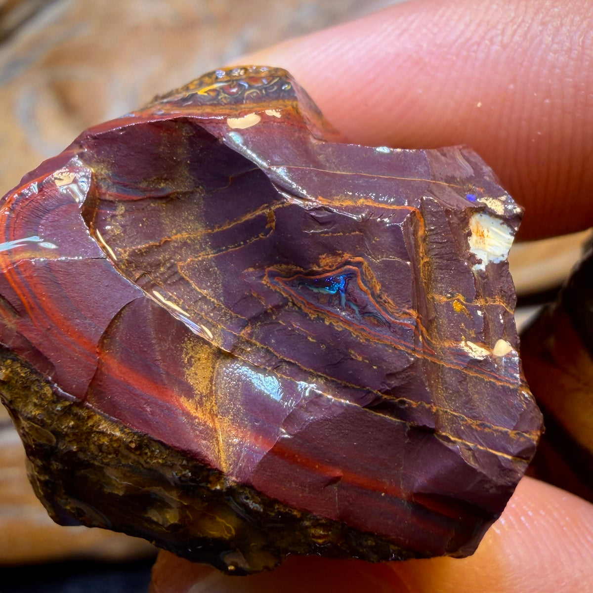 TGIF 482.9cts - 5x Yowah Nut Opal Rough Parcel. Australian Boulder Opal