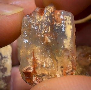 93.6cts - 5x Opalised Fossil Geological Specimens from Lightning Ridge