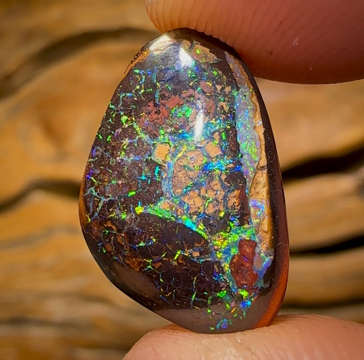 9.1cts - Yowah Nut Tribal Kernel Opal. Australian Boulder Opal