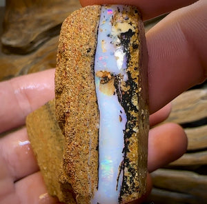 235.1cts - 3x Boulder Pipe Opal Rubs. Australian Opal Bargain under $1/ct