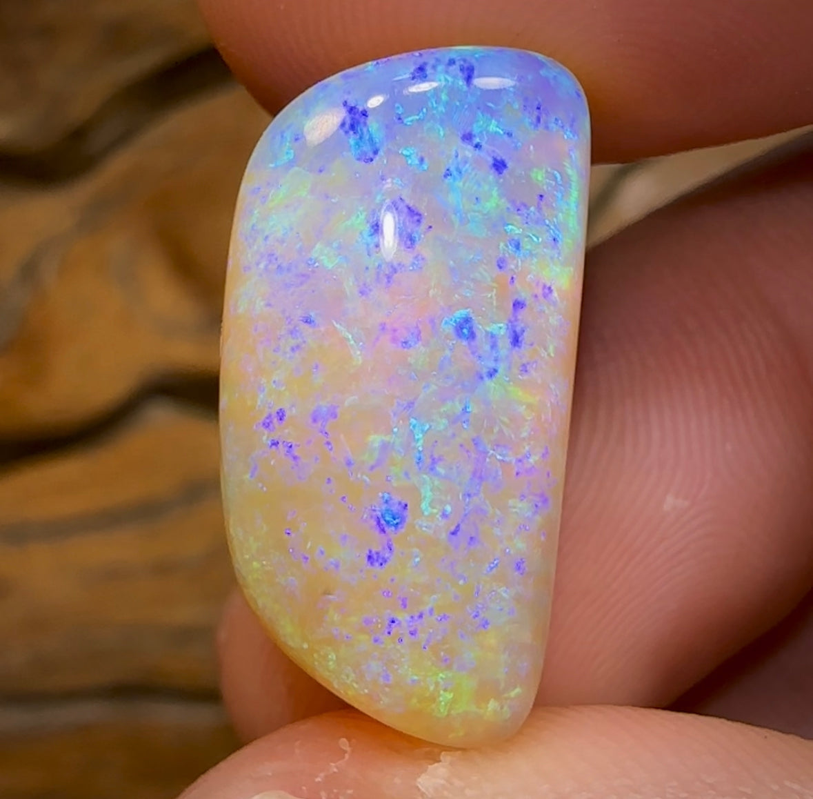 20.5cts - GEM Queensland Boulder Opal. THICK SEAM OPAL - Opal Whisperers