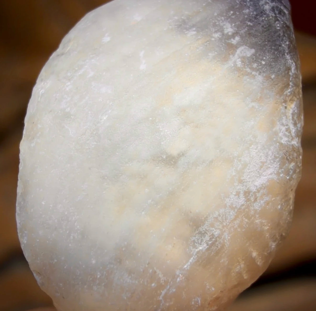 16.1cts - Opalised Shell Rare Geological Rough Specimen from Lightning Ridge