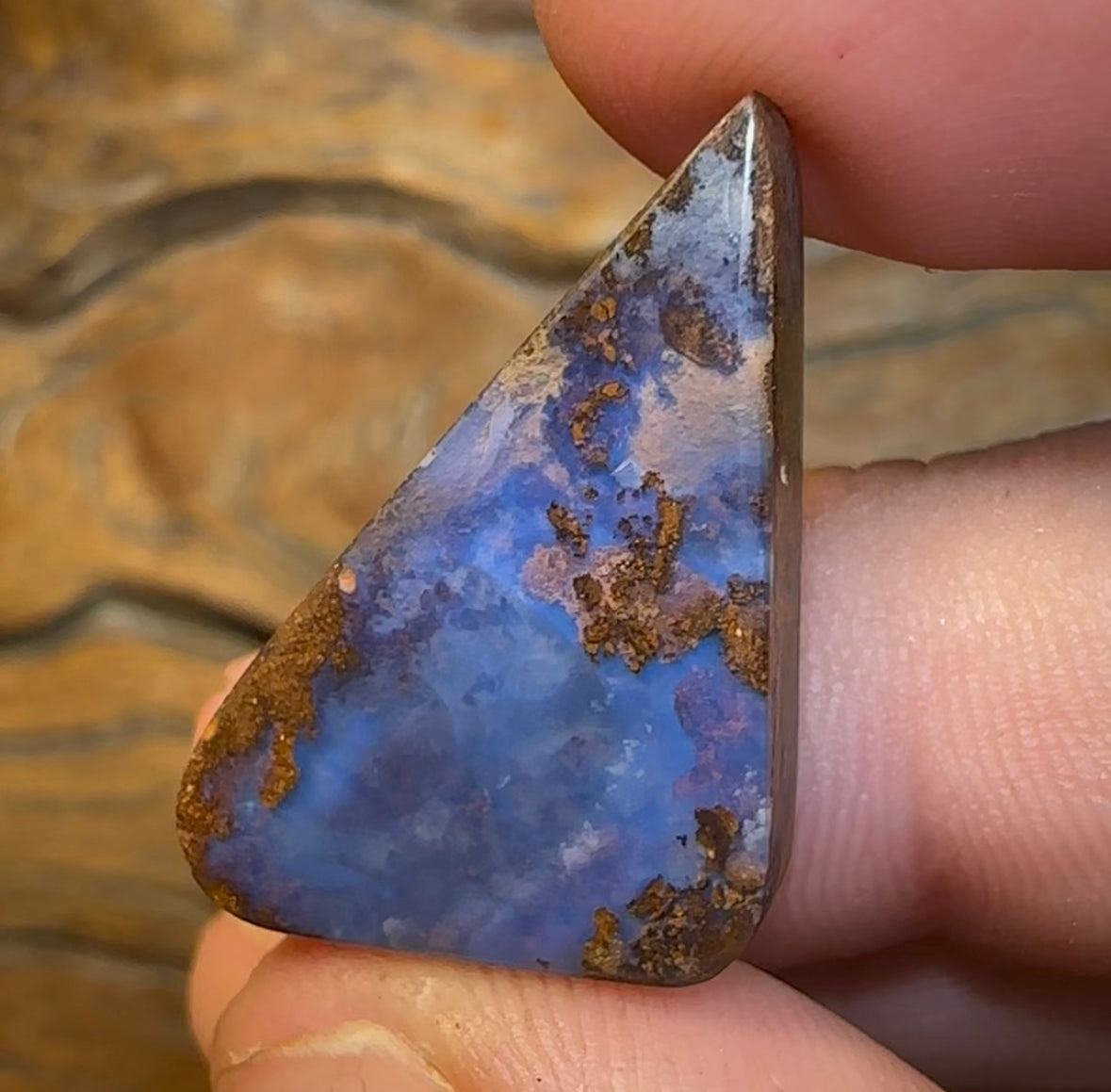 21.5cts - Solid Natural Boulder Opal - Opal Whisperers