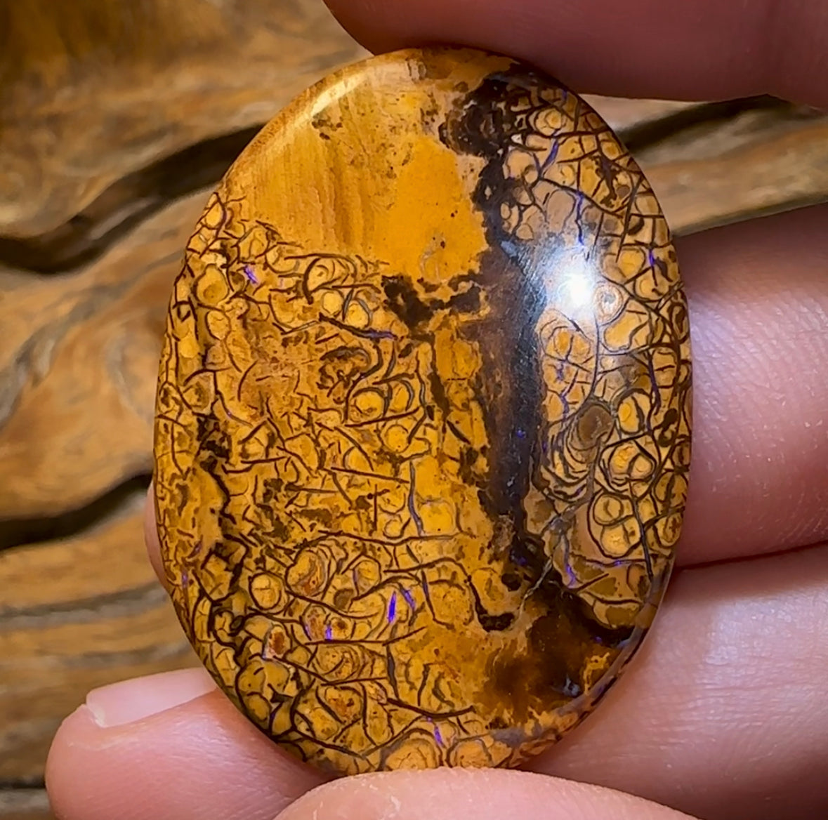 48.7cts - “Pineapple” Yowah Nut Tribal Opal., Double Sided - Opal Whisperers