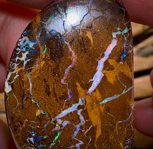 106.6cts - Magnificent Bubble Band Opal Pair With Red Muti Colours