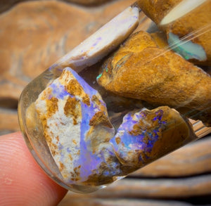 124,7 ct – Phiole mit Yowah-Nussopal-Rohstein und fossilem Opal