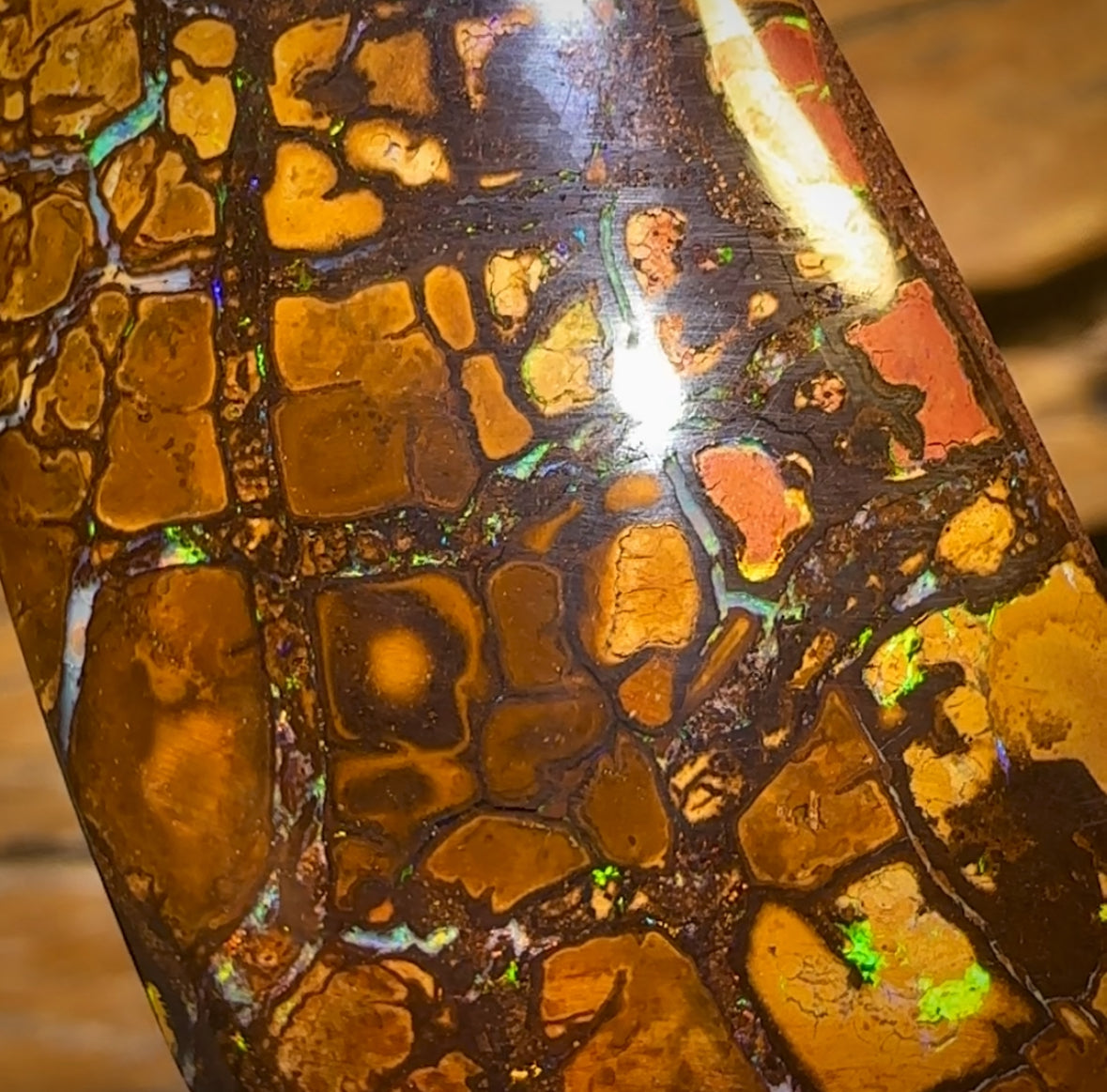 🔨 AUCTION 🔨 Reserve 💎 High Roller Banger Auction 💎 281.9cts - “Thick and Chunky” Large Tribal Yowah Nut Opal