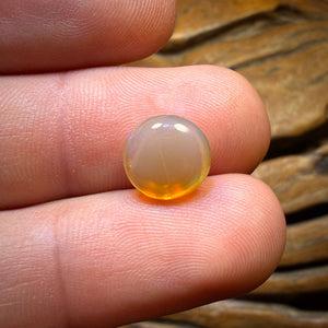 Opale cristalline Alex Auction 2,9 carats – Australie du Sud (Andamooka)