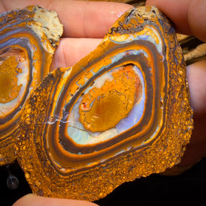 697cts - Large Yowah Nut Partial Crystal Centre Rough Specimen Pair