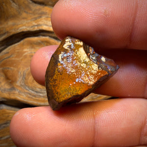 Bargain Rough! 49.9cts - Tribal Yowah Nut Opal Rough Piece