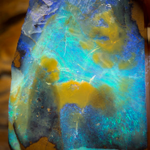 45.6cts - Queensland Boulder Seam Opal Rub