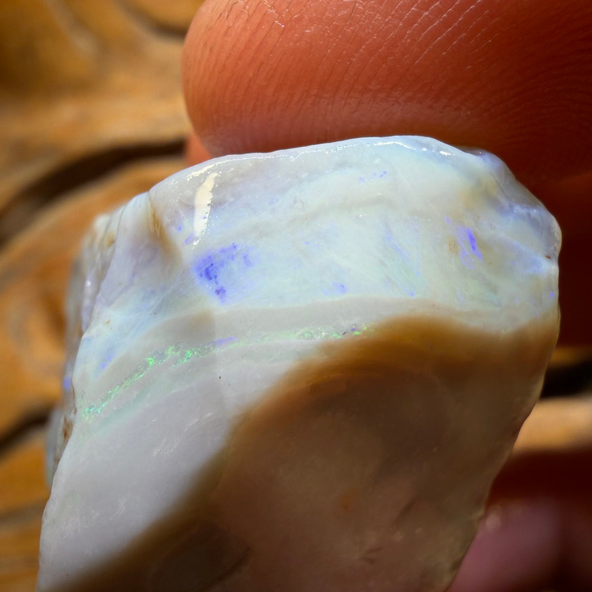 214.3cts - Large Lightning Ridge Dark Opal Rough Piece