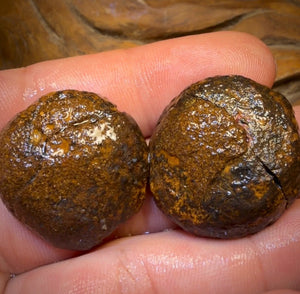 OpalFest Wildcard! 114.3cts - RARE Yowah Nut Crystal Centre Rough Specimen Pair