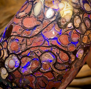 396.1cts - ISAACS CUT!! Large Top Tribal Queensland Boulder Opal Polished Specimen