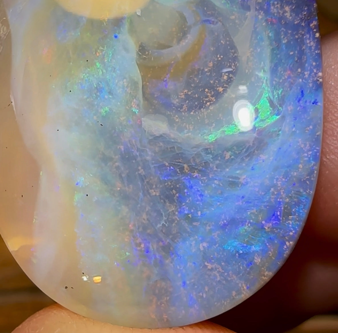 71.3cts - “Water World”Large Queensland Boulder Opal from Winton - Opal Whisperers