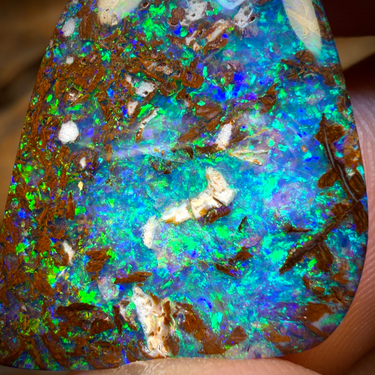 22.7cts - Top Queensland Boulder Opal from Yowah