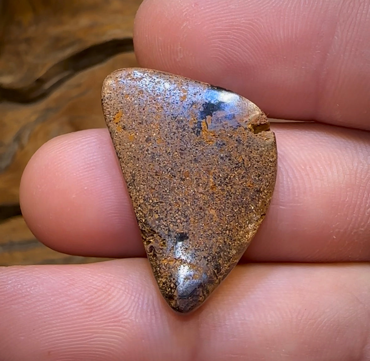 28.6cts - Yowah Nut Conglomerate Opal. Australian Opal - Opal Whisperers