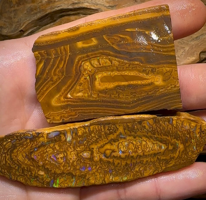 85g - Queensland Boulder Opal Rough Slab Pair - Opal Whisperers