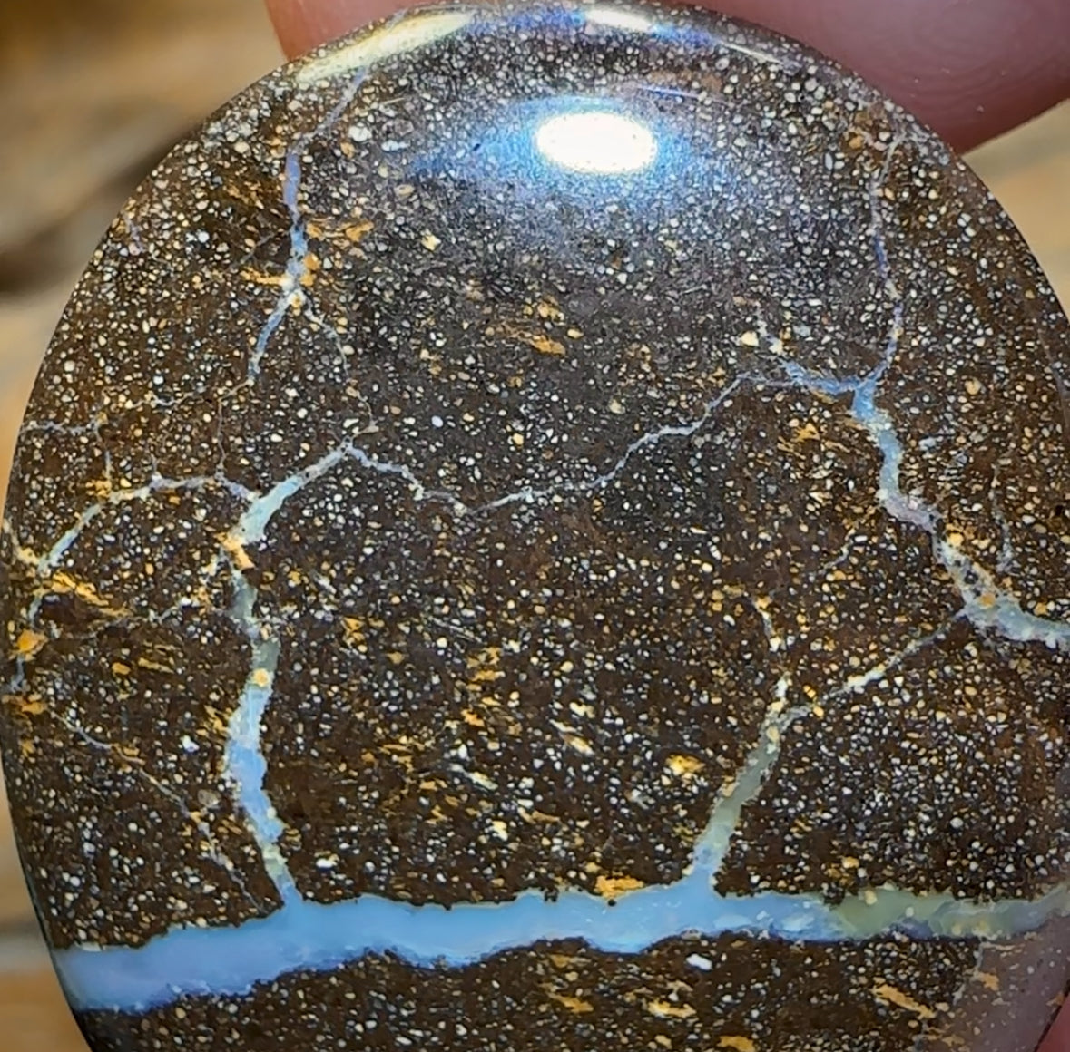 🔨 AUCTION 🔨 No Reserve 34.5cts - Queensland Boulder Seam Opal