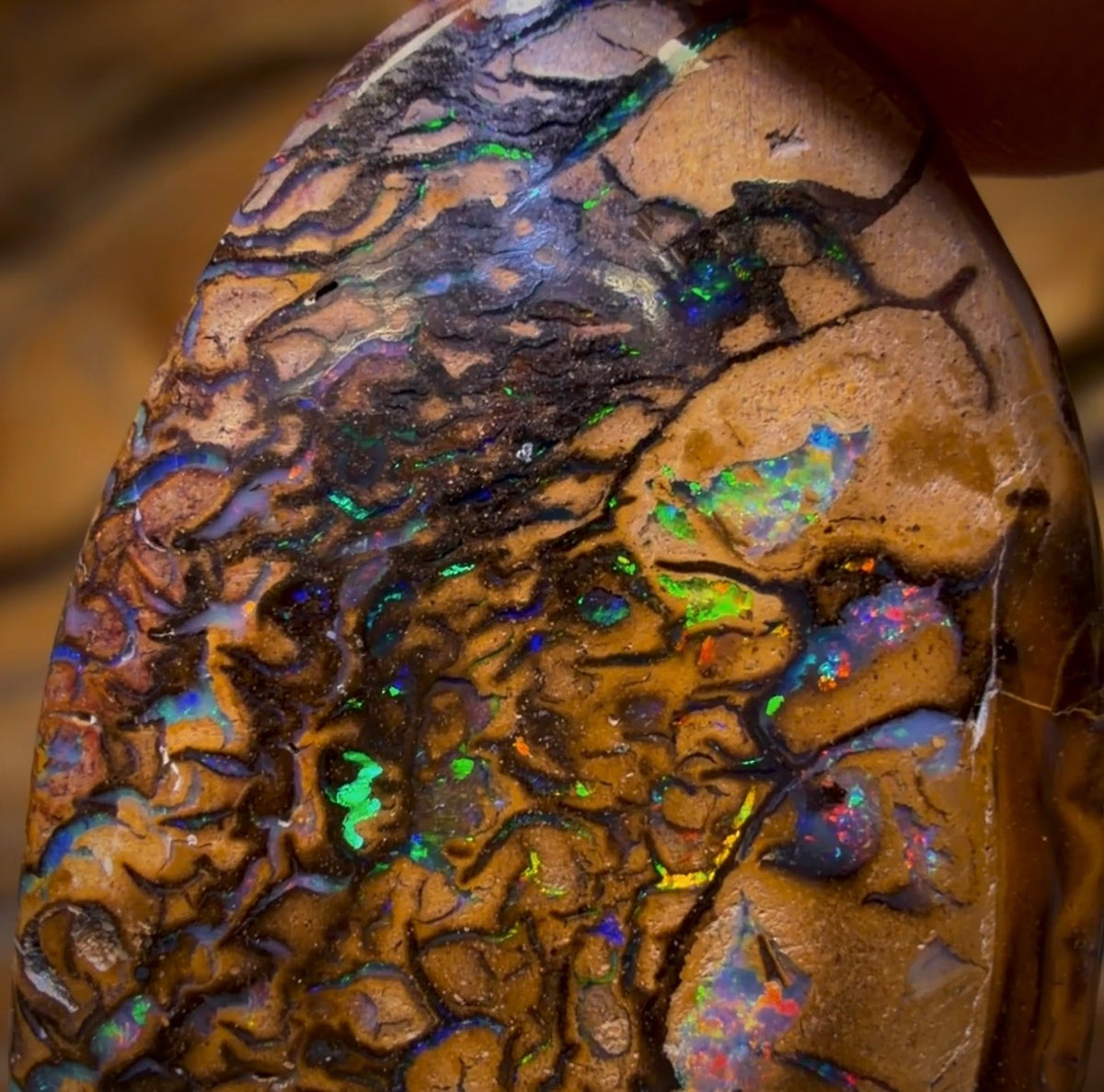 45.7cts - Tribal Australian Boulder Opal from Yowah