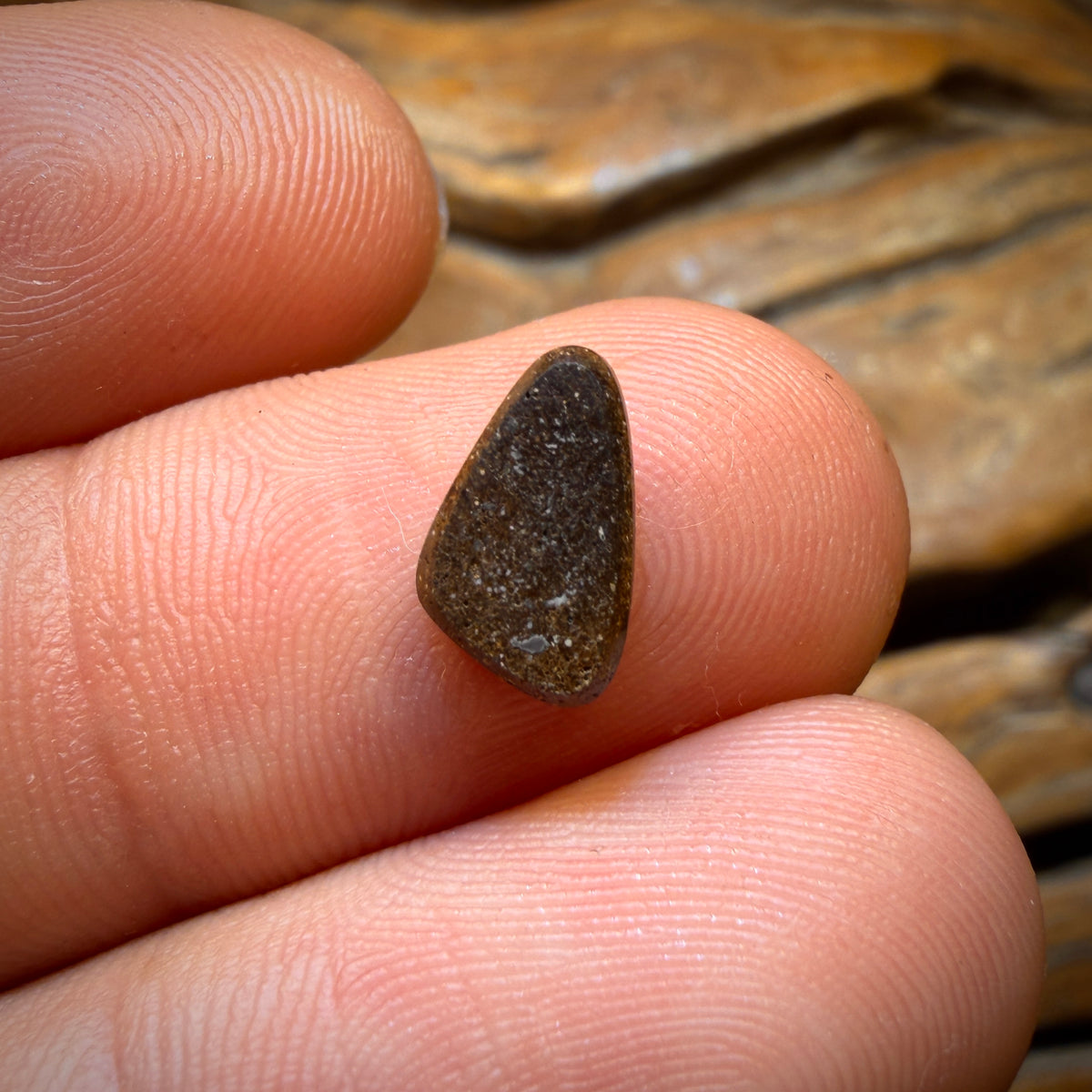 1.4cts - Red on Black Australian Boulder Seam Opal