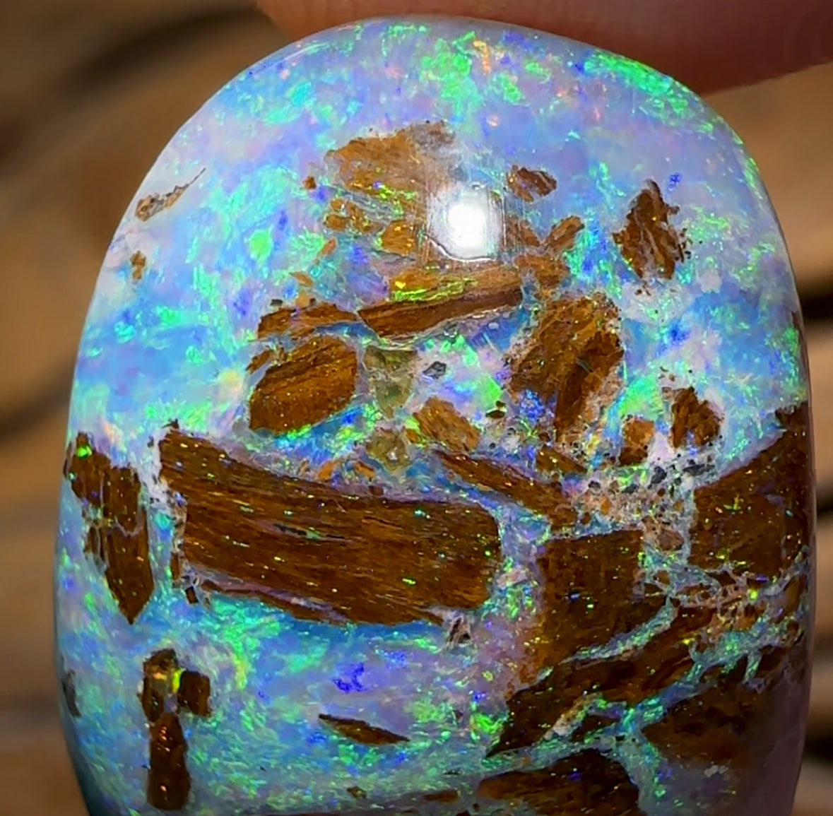 14.8cts - GEM Australian Boulder Wood Fossil Opal