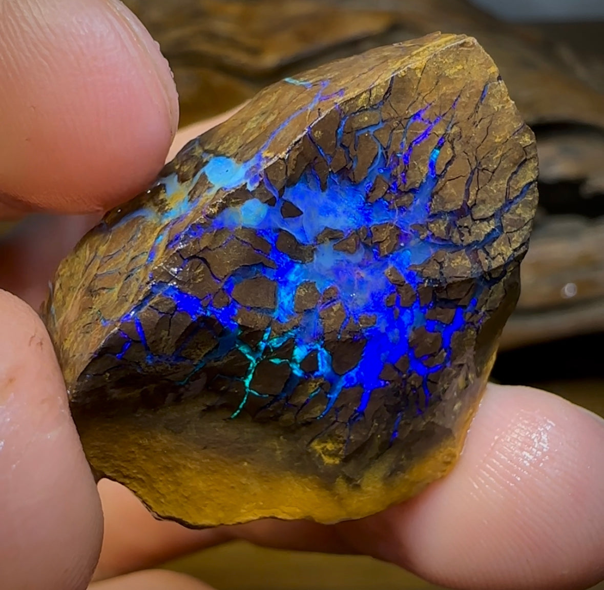 22g - Qld Boulder Opal Rough Specimen - Opal Whisperers