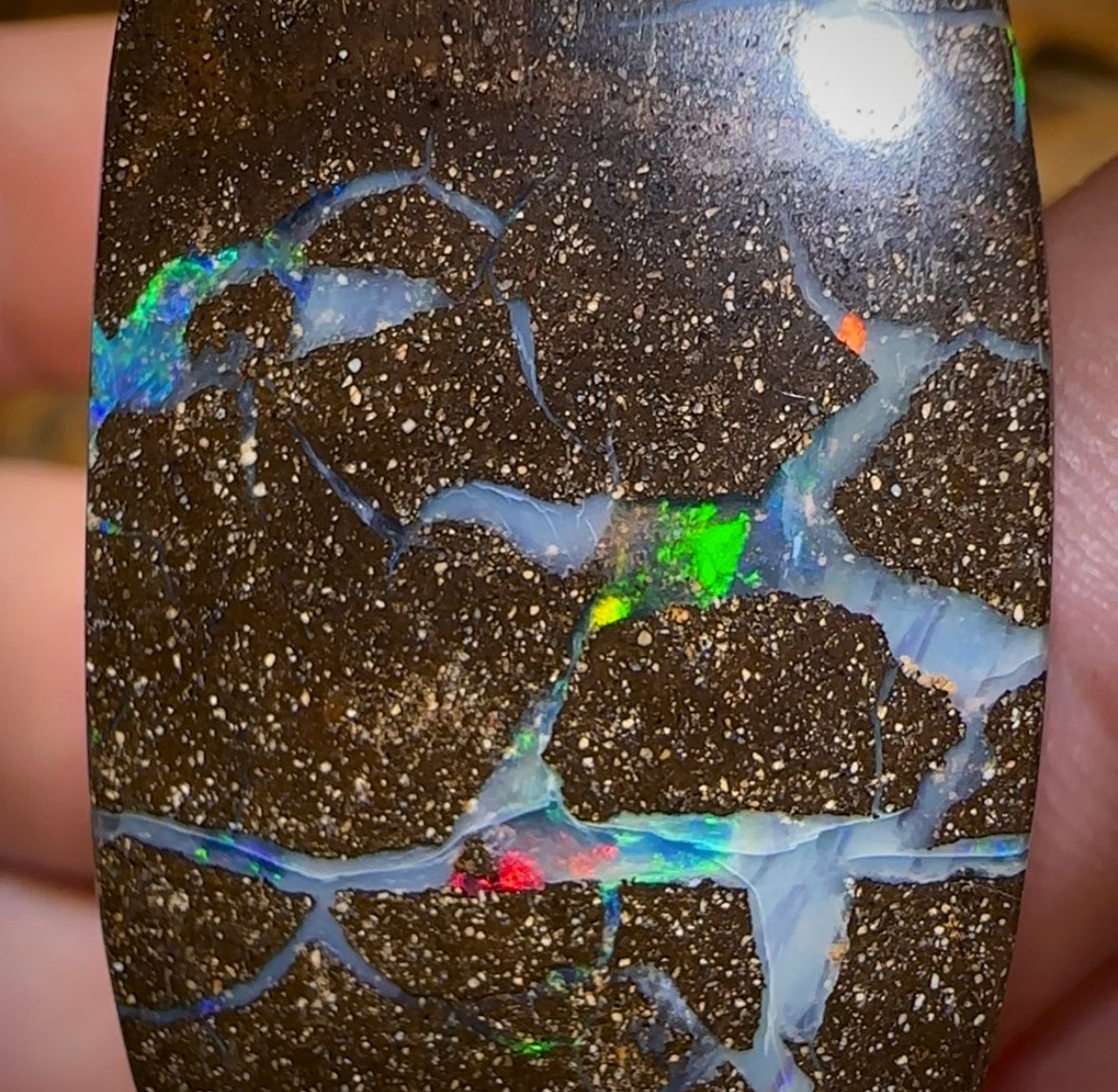 173.4cts - Australian Boulder Opal Set. Winton Seam Opal. Double Sided - Opal Whisperers