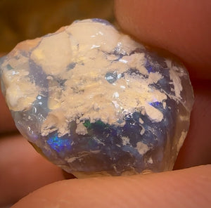 41.2cts - 4x Opalised Shell Geological Specimens from Lightning Ridge