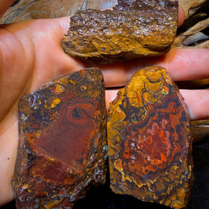Wild card! 1007cts - 3x Yowah Nut Tribal Opal Rough Parcel. Australian Boulder Opal