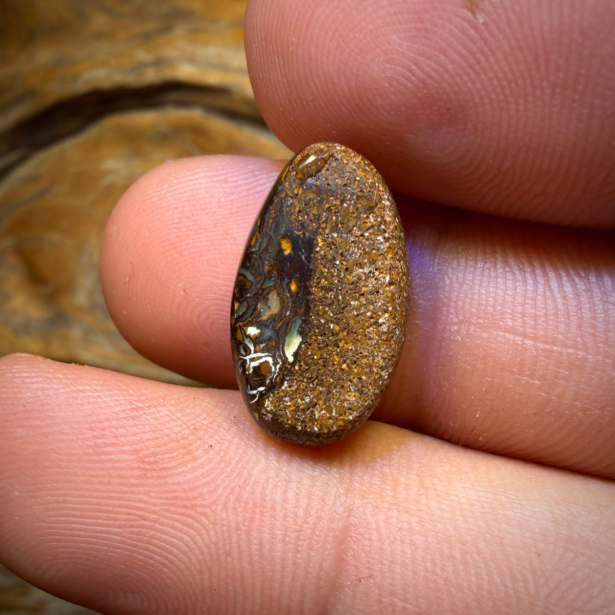 8.9cts - Amazing Suspended Golden Yowah Nut Crystal Centre Opal