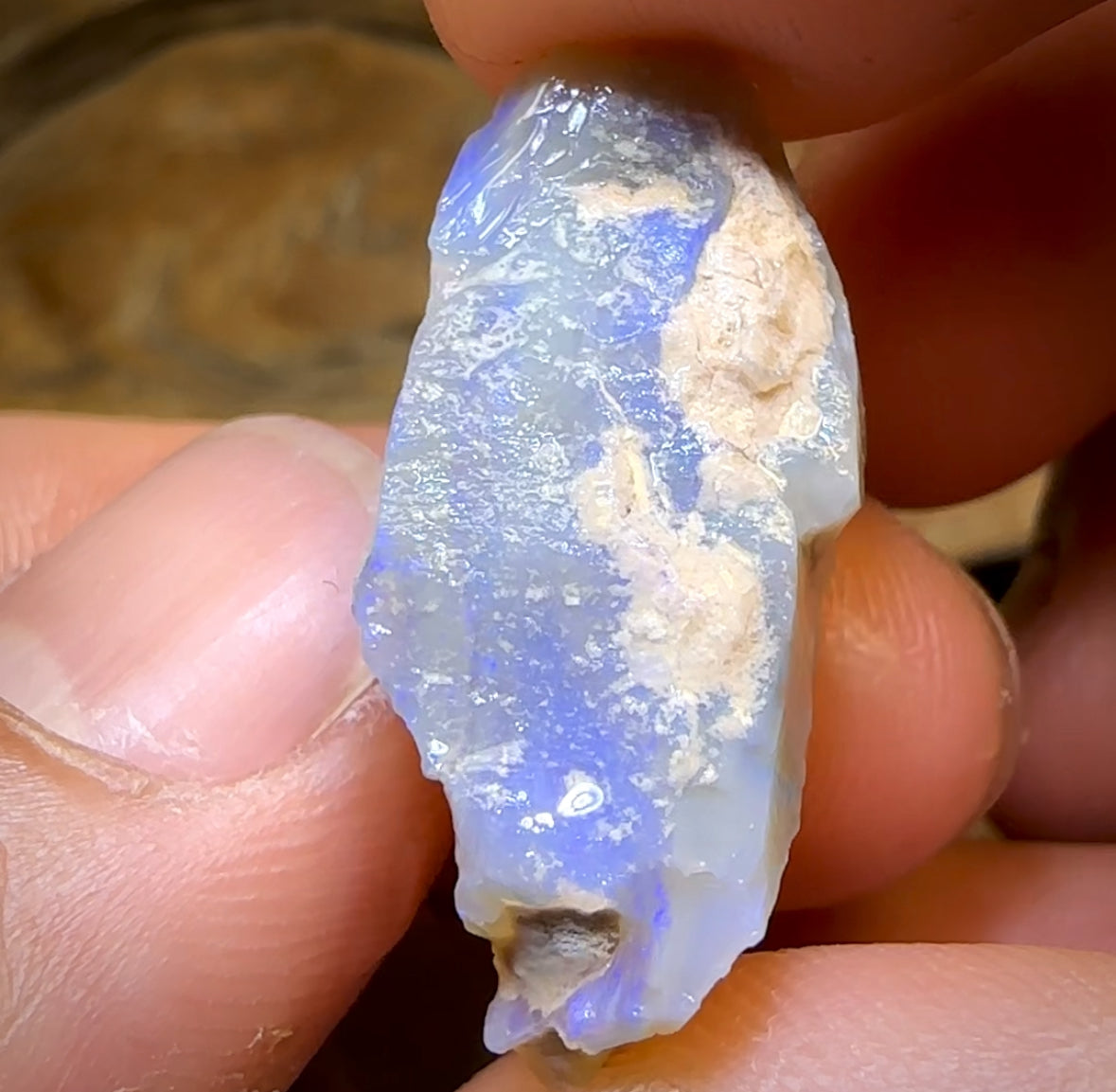 65.4cts - 4x Lightning Ridge Opal Rough Parcel