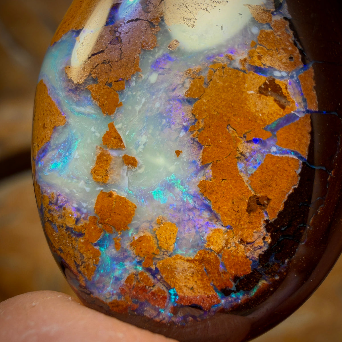 38.6cts - Australian Boulder Opal from Yowah