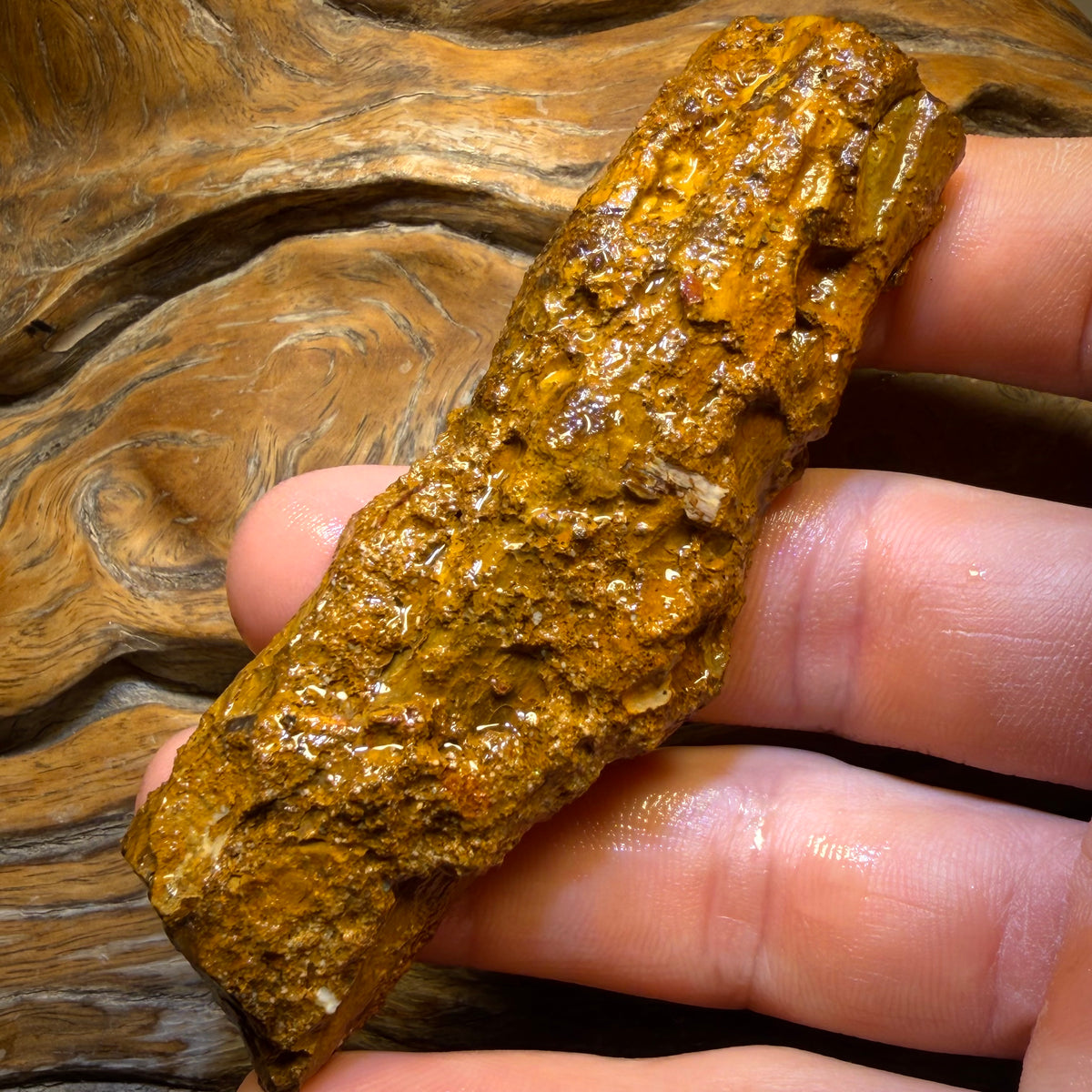 279.9cts - TOP Vegetation Fossil Replacement Boulder Opal Specimen Rub