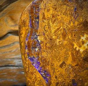 388cts - Large Australian Boulder Wood Fossil Opal Specimen