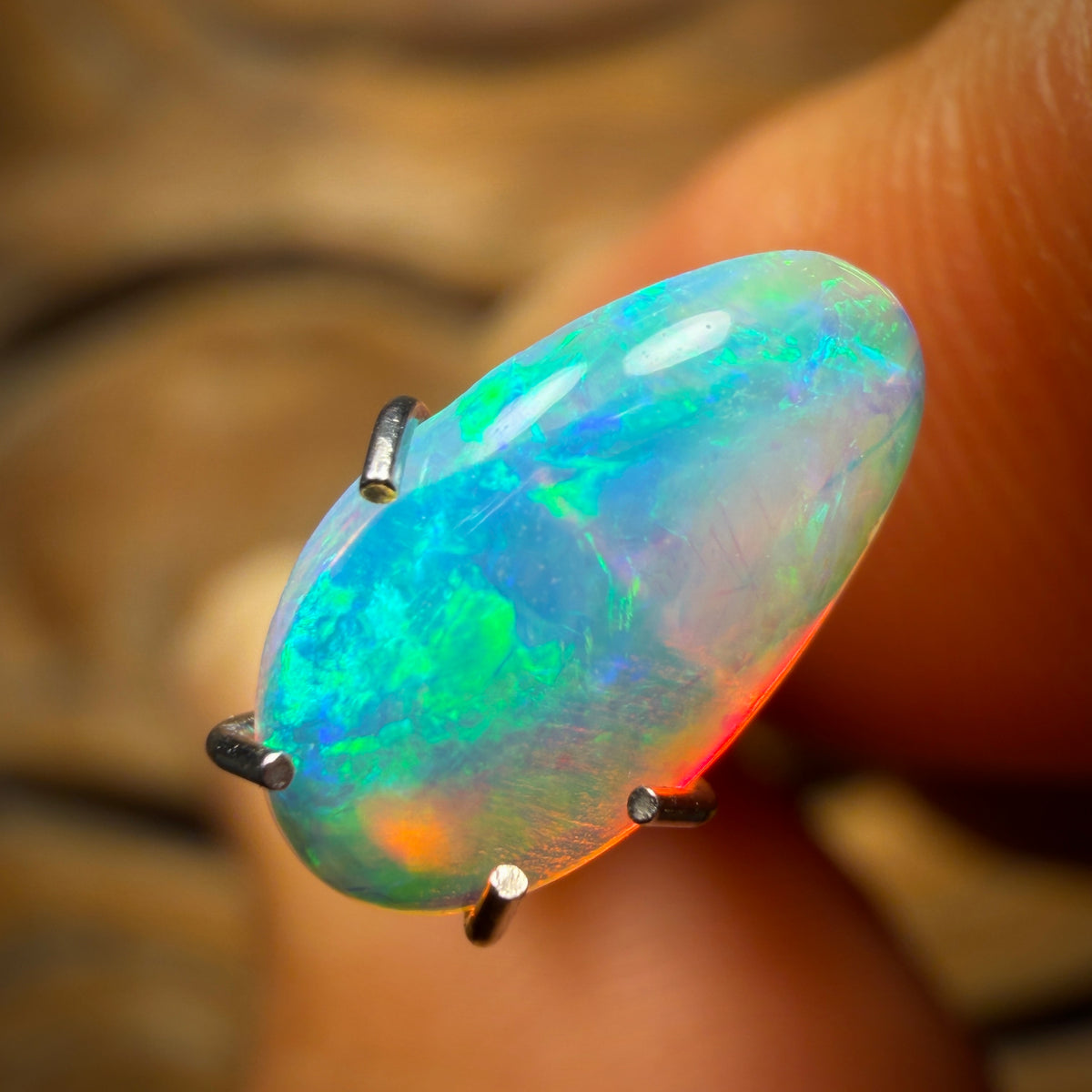 1.1cts - Polished South Australian Shell Fossil Opal