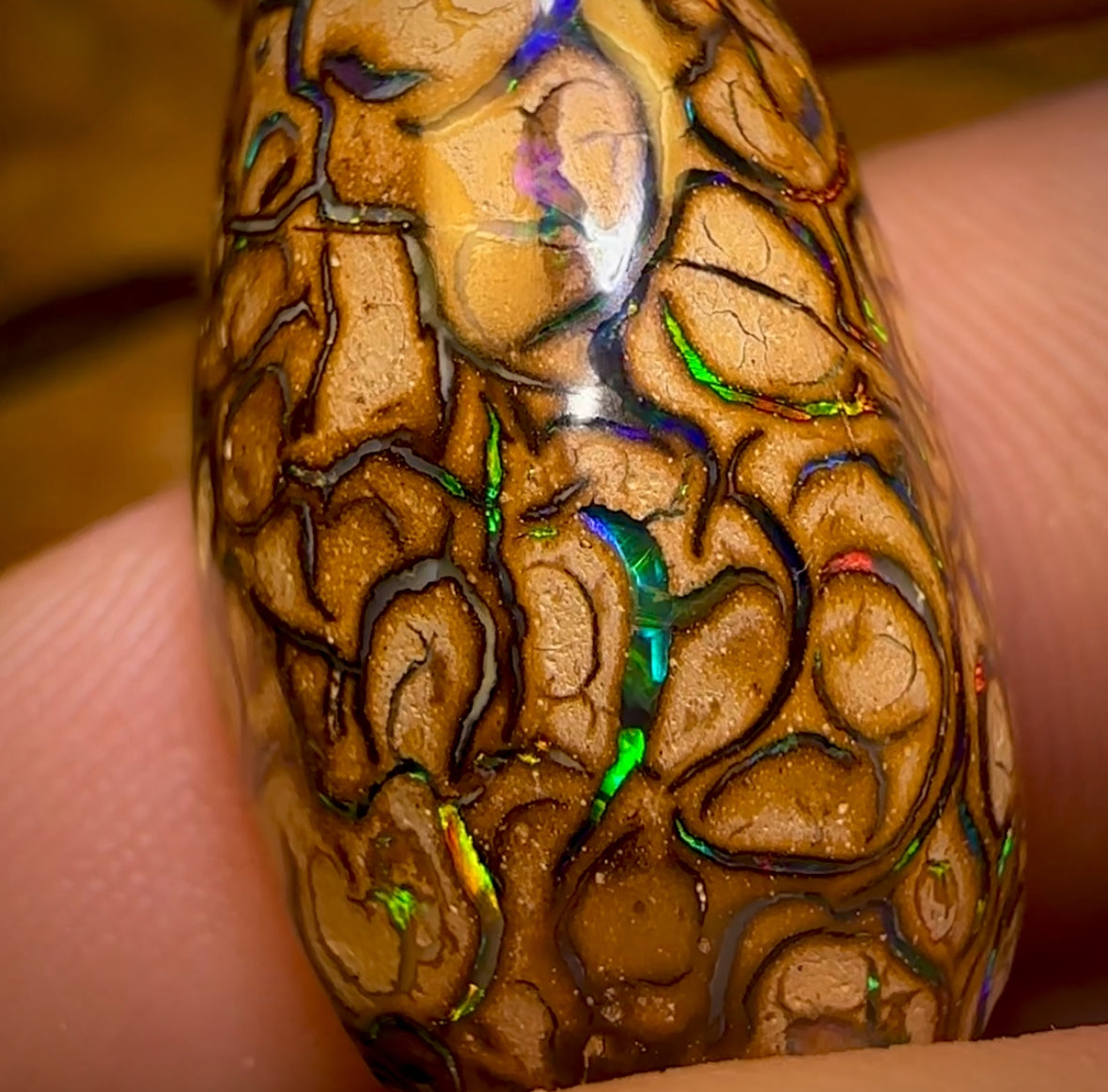 28.5cts - “Celebrity Stone” Top Tan Tribal Yowah Nut Opal. Featured on “Outback Opal Hunters”!