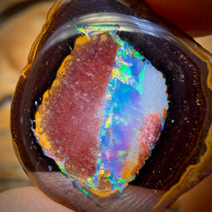 Collectors Card ! 46.9cts - Yowah Nut Partial Crystal Centre Opal Pair Polished