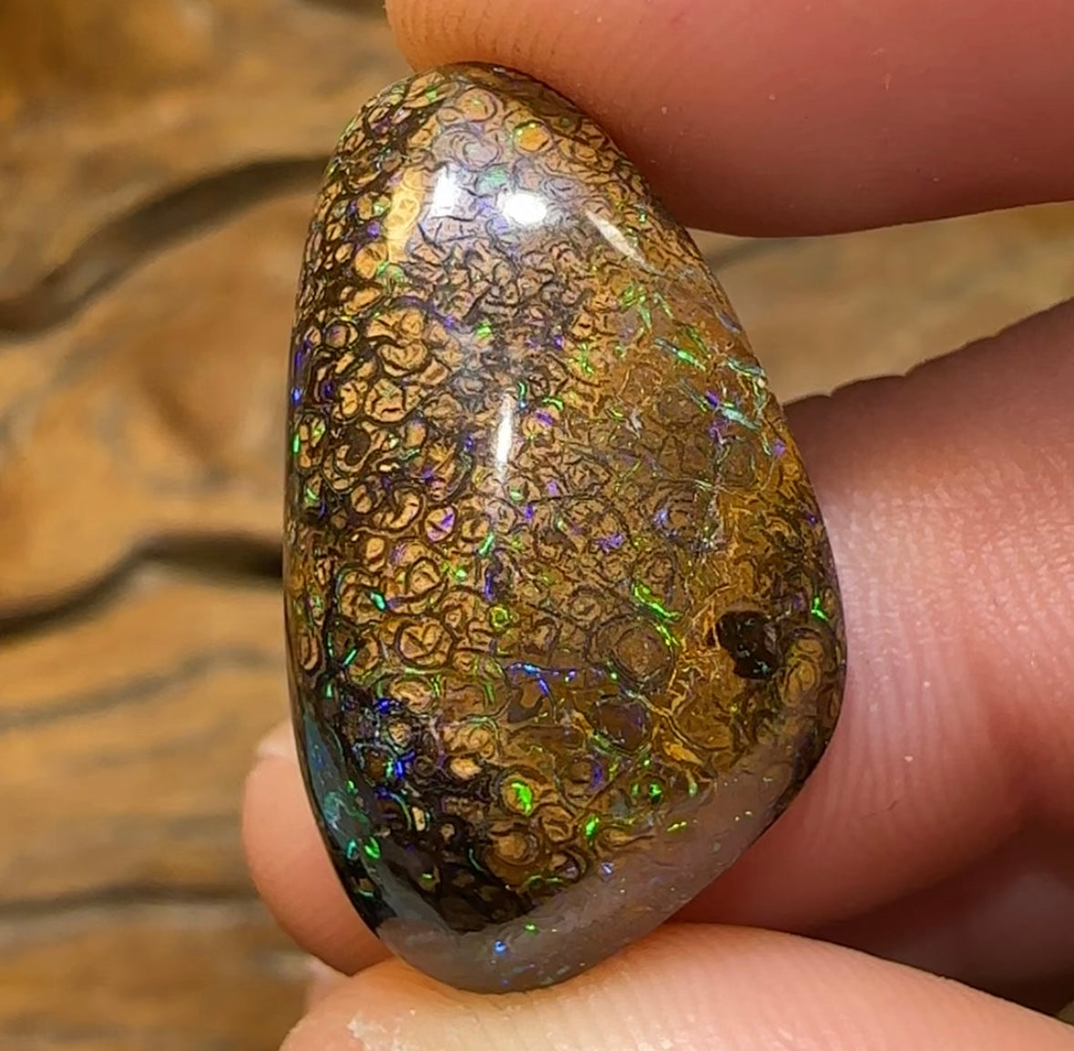 29.8cts - Yowah Boulder Opal. Australian Opal with Electric Tight Tan Tribal Pattern - Opal Whisperers
