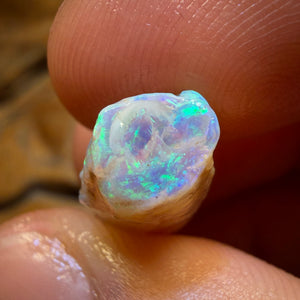 12.6cts - Opalised Belemnite Geological Specimen from South Australia