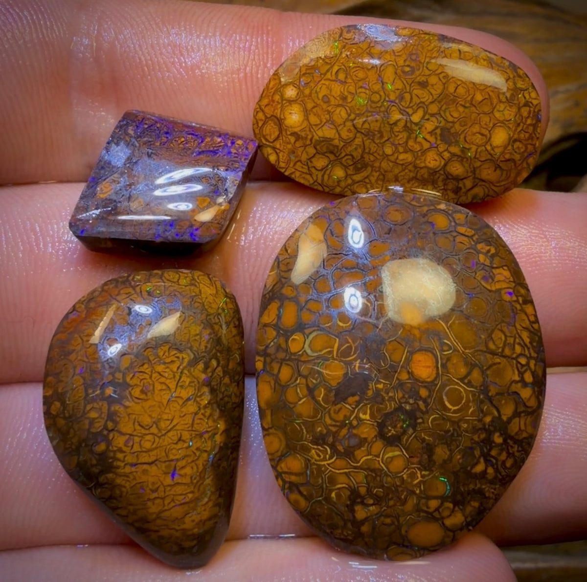 105.2cts- 4x Tribal Queensland Boulder Opal Rubs