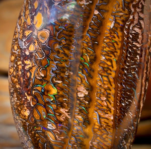 38 x 21mm - Drilled Tribal Queensland Boulder Opal Necklace