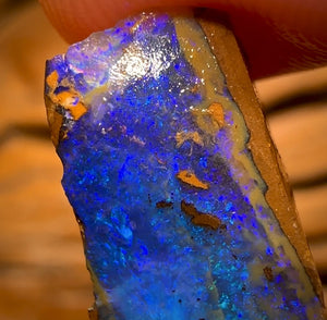 Bargain Card! 11.4cts - Queensland Boulder Seam Opal Rough Piece