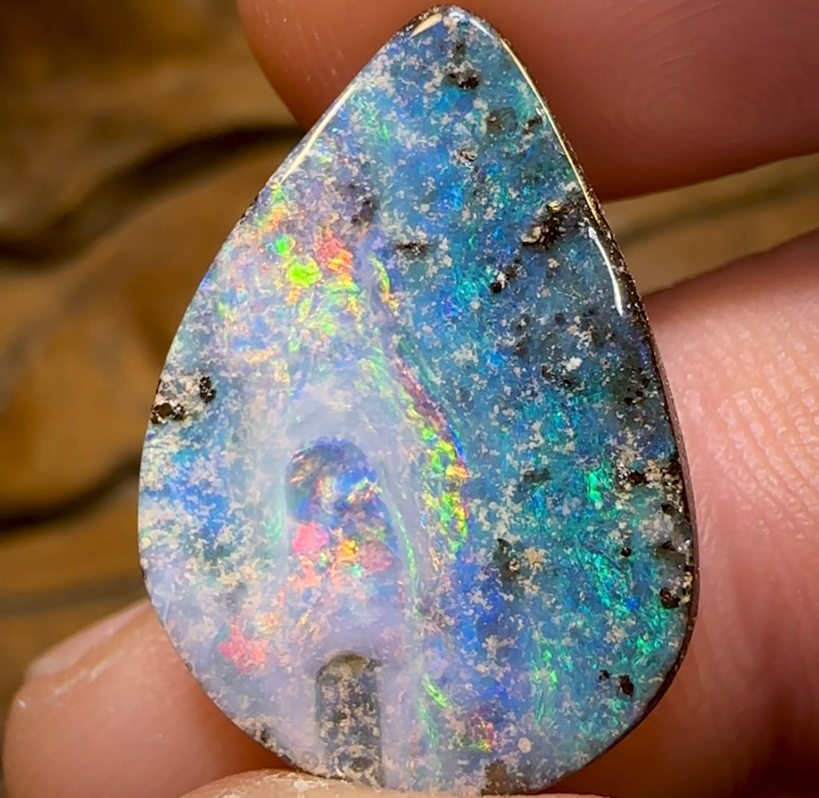 16.5cts - Queensland Boulder Opal from Winton - Opal Whisperers
